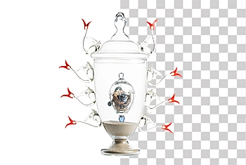 Background remove before after example image